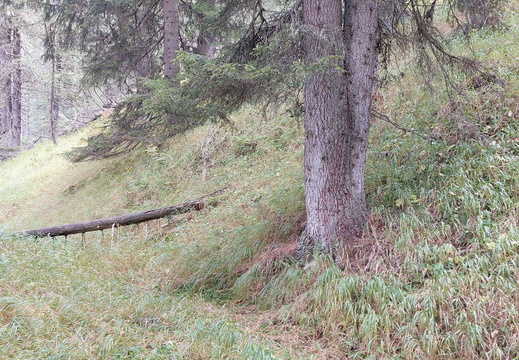 La Crusc - Brunsin de Munt